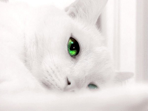 j'adore cette image :)