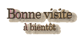 Résultat de recherche d'images pour "MERCI DE VOTRE VISITE EN GIF"