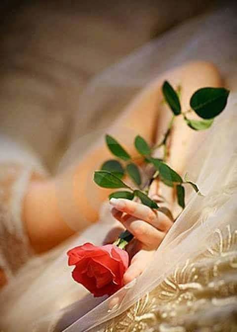 j' aime tout simplement