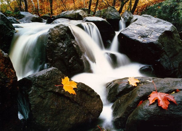 CASCADE