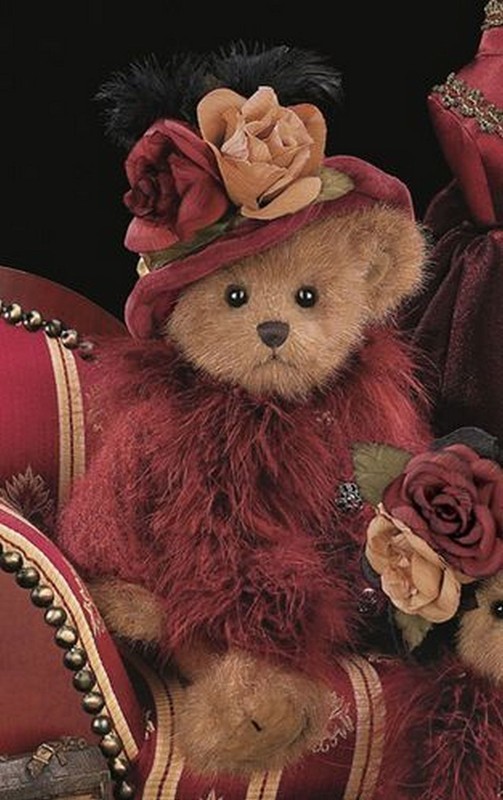 teddy bear fancy