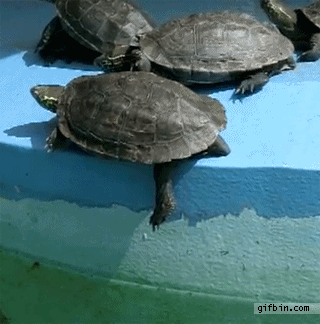 http://yogi.y.o.pic.centerblog.net/f694487e.gif